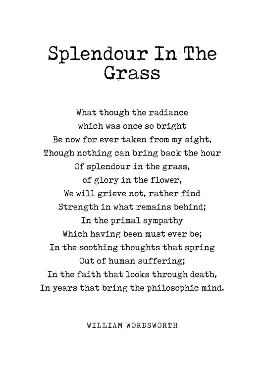 Splendour In The Grass 01