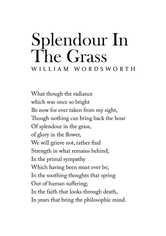 Splendour In The Grass 02