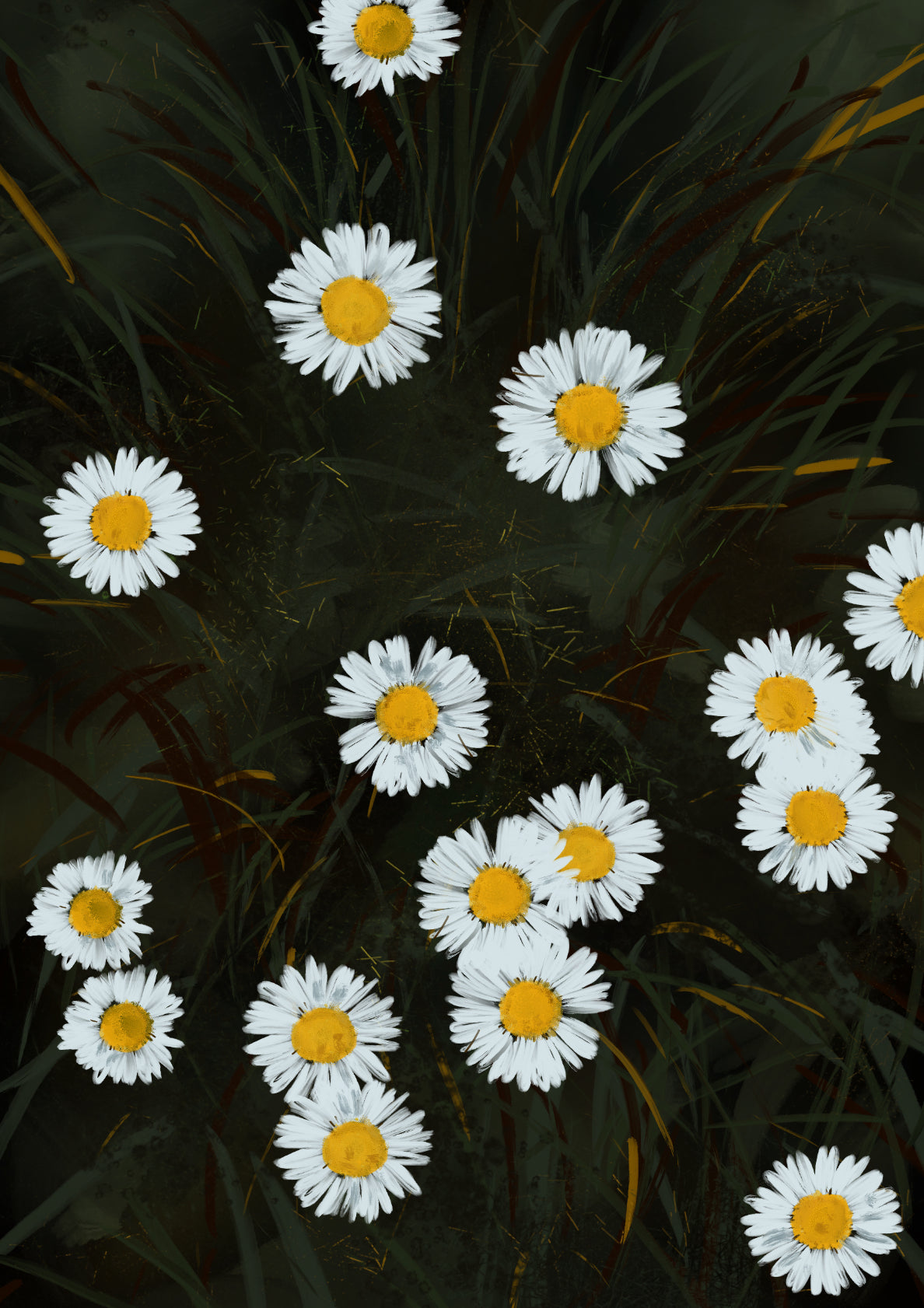 Daisies From A Dream 1