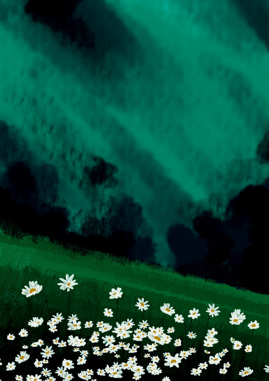 Daisies From A Dream 2