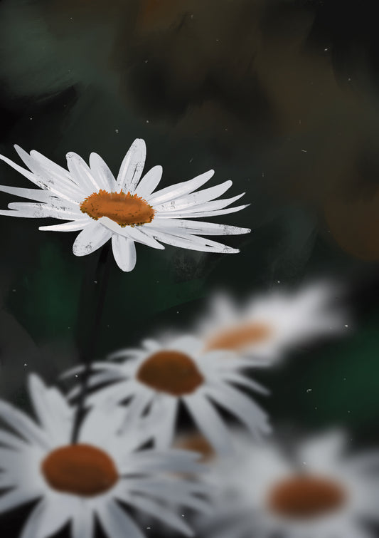 Daisies From A Dream 3