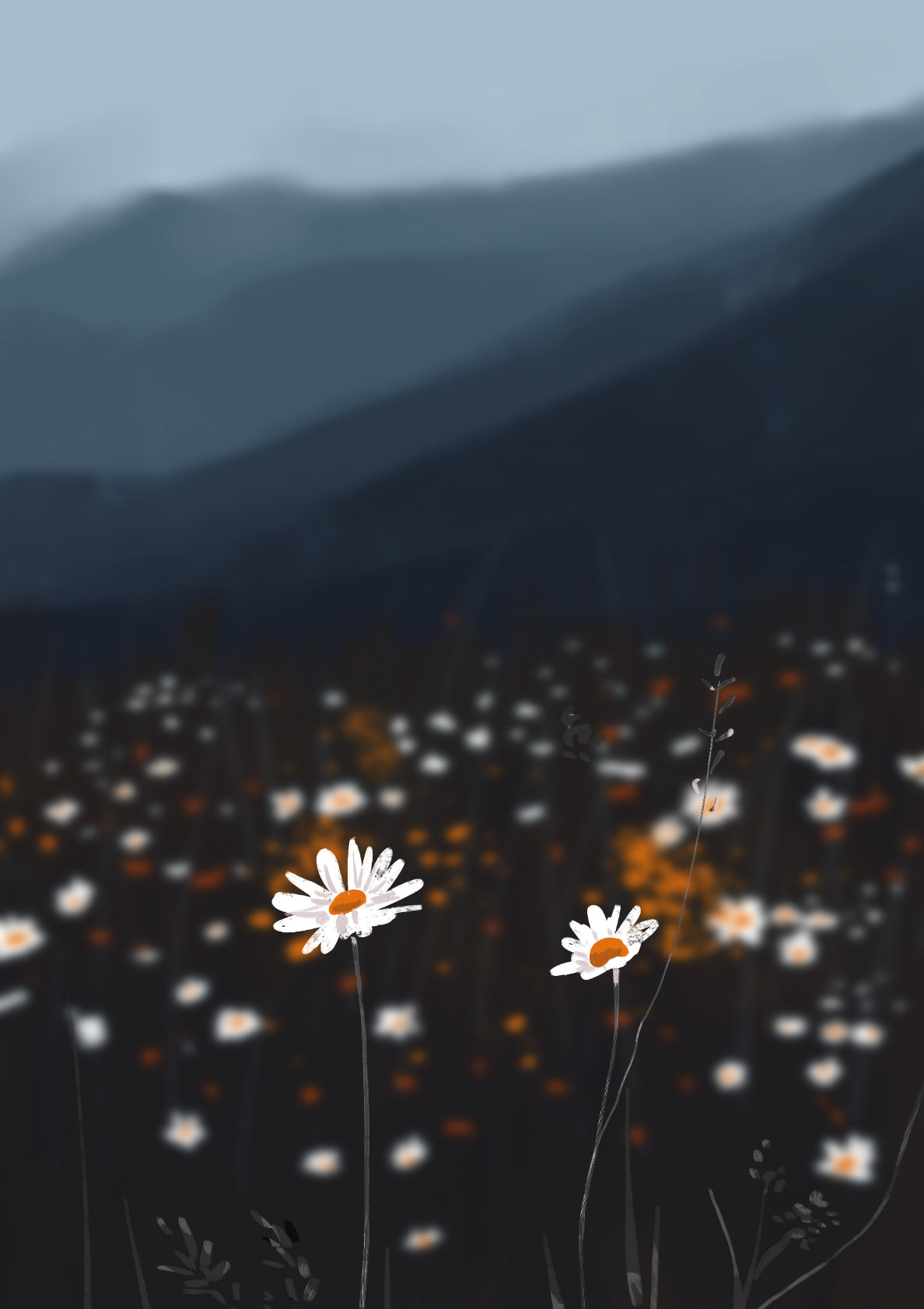 Daisies From A Dream 4